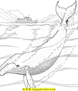 14张善良和友好的大海中的鲸鱼卡通涂色儿童画下载！