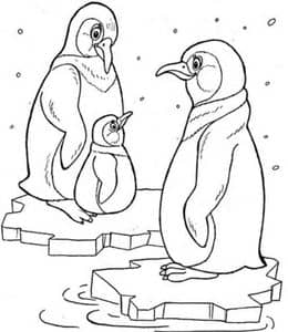 10张彬彬有礼的企鹅宝宝卡通涂色简笔画免费下载！