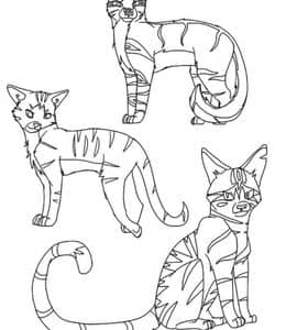 14张《Warriors Cats》可爱勇敢的猫咪五十卡通涂色图片免费下载！