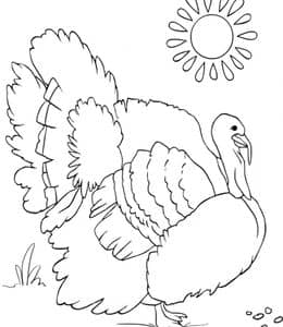 10张大肚子的可爱火鸡动物涂色简笔画免费下载！