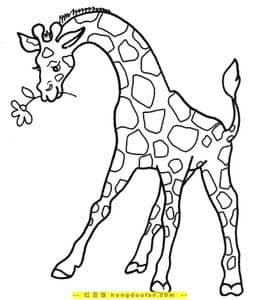 给长颈鹿的图片涂颜色！7张可以免费下载的长颈鹿简笔画！