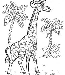 长颈鹿不会说话呢？10张优雅迷人的长颈鹿卡通涂色图片！