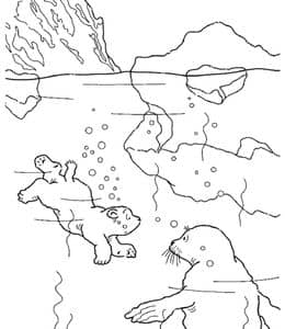 小北极熊和海豹的故事！10张北极熊宝宝卡通填色图片