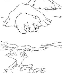 北极熊的有趣事实！13张北极熊宝宝主题卡通涂色图片免费下载