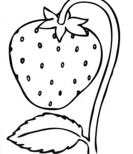 10张小狗苹果大象刺猬小汽车草莓雪人胡萝卜有趣的涂色简笔画