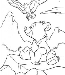 13张《熊的传说》跟着小熊去冒险有趣的涂色故事大全