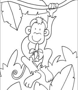 10张吊在树上吃香蕉的可爱的好奇小猴子卡通涂色简笔画！