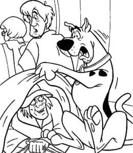 10张动画片《侦探狗狗史酷比》大丹犬卡通主题涂色图片！