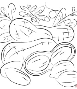 14张可爱的花生圆滚滚简单有趣的儿童涂色简笔画！