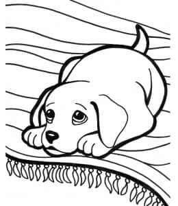 10张可爱的委屈的伤心的高兴的宠物小狗卡通涂色简笔画！
