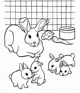 我家的可爱宠物兔子！12张简单可爱的小兔子涂色图片！